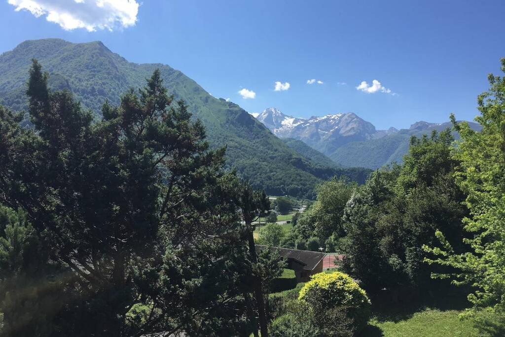 Chalet De L'Ours Brun, Gite 3 Etoiles Gere-Belesten Exterior foto